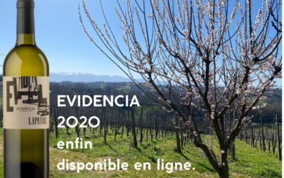EVIDENCIA DE LAPEYRE 2020, dry white wine naturally!
