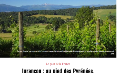 Bel article sur le magazine Marianne « Jurançon : au pied des Pyrénées, un grand vin blanc »