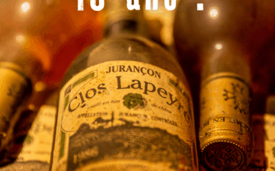 Portes Ouvertes Clos Lapeyre – Dimanche 14 novembre 2025 – 40 ans!