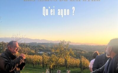 Les Amics de Lapeyre, qu’ei aquo?